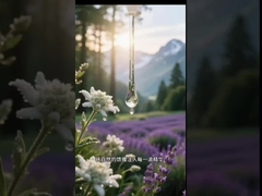 การรักษาเมโซ