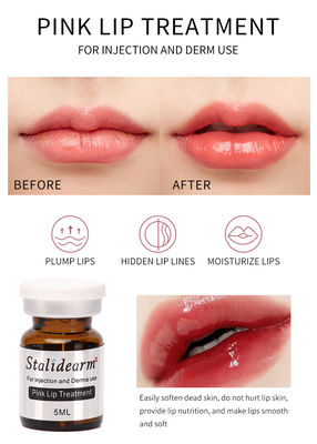 ขายส่ง Stalidearm แบรนด์เดิม Pink Lip Treatment เซรั่มฉีด Safe Essence Meso Therapy Set 5 ชิ้น/เซ็ต