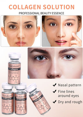 OEM/OBM Stalidearm Skin Care Essence Collagen Anti Wrinkle Hydrating Face Serum เบอร์ส่วนตัว