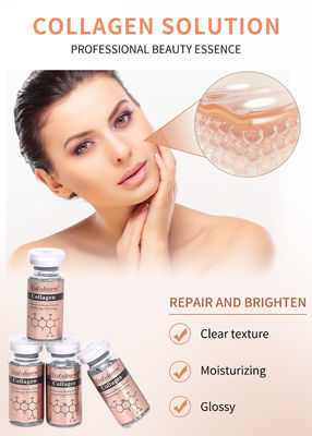 OEM/OBM Stalidearm Skin Care Essence Collagen Anti Wrinkle Hydrating Face Serum เบอร์ส่วนตัว