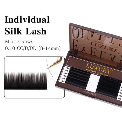 5D W Shape Lashes Extension CC/D/DD Curling Pre-made Volume Soft Eyelashes Extension Makeup สีขนตาที่อ่อนนุ่ม