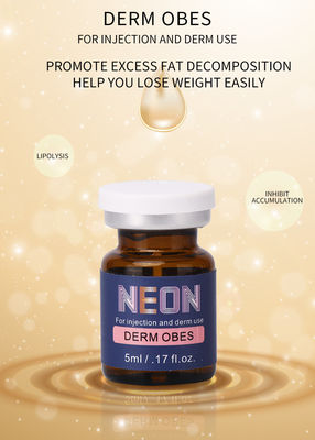 เมโสบำบัด เซลลูไลท์ ฉีด ต่อต้านโรคอ้วน สลิมมิ่ง Derm Obes