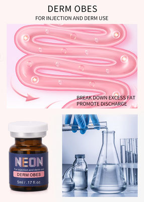 เมโสบำบัด เซลลูไลท์ ฉีด ต่อต้านโรคอ้วน สลิมมิ่ง Derm Obes