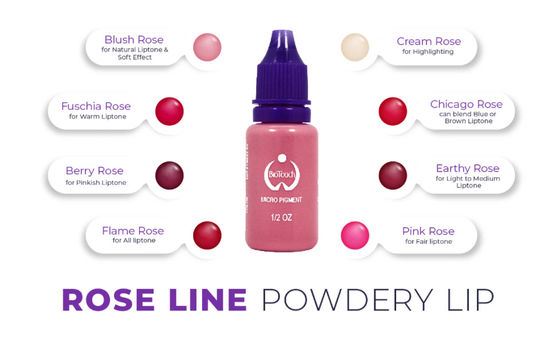 Biotouch Micro Pigment กุหลาบรงควัตถุสีแต่งหน้าถาวร Microblading อุปกรณ์คิ้วแรเงา MicrGel polishgmentation