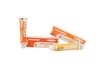 Proaegis Numb Cream 10g ยาลบสักเพื่อบรรเทาความเจ็บปวด